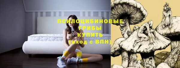 скорость Баксан