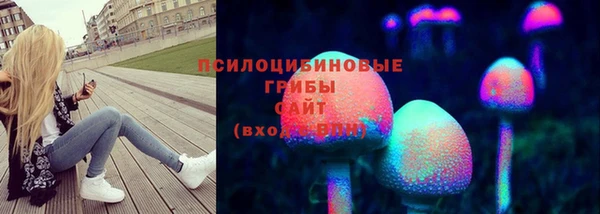 2c-b Балахна