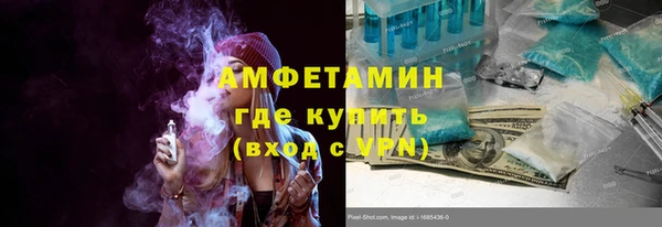 сатива Новозыбков