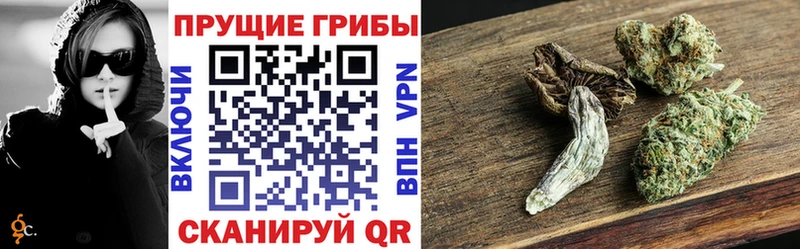 Галлюциногенные грибы прущие грибы  хочу   Когалым 